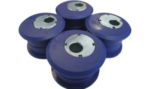 Adjustable offset caster bushes