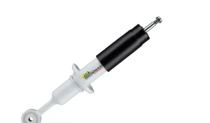 Nitrogas strut