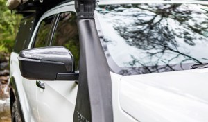 Snorkel D Max