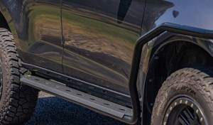 D Max side step and rail