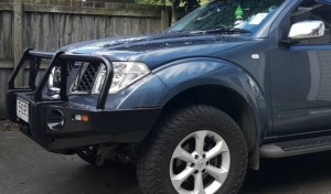D40 Bull Bar2