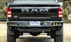 DS Ram Protection