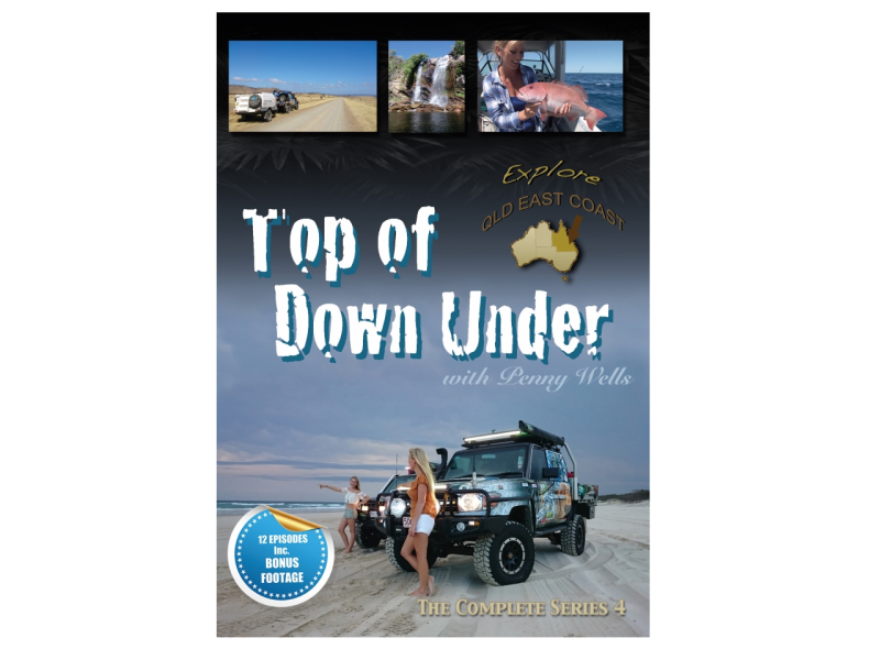 DVDs S4 PNG