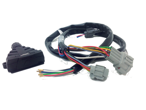 Loom 4.3 PNG