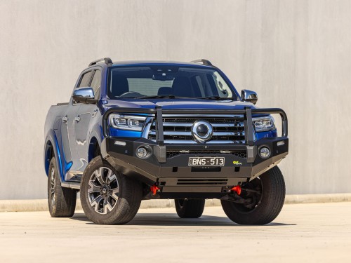 WebReady Deluxe Bull Bar to suit GWM Cannon 3
