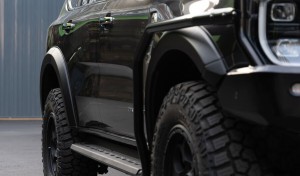 WebReady Fender Flare Next Gen Everest 07