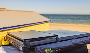 WebReady Solid Solar Panel 1