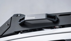 raid canopy grab handles